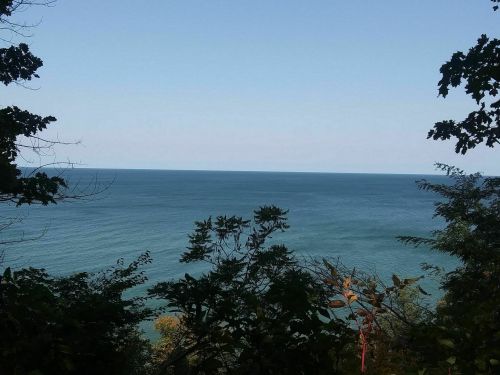 A serene view of a calm blue lake, framed by trees and a clear sky.
