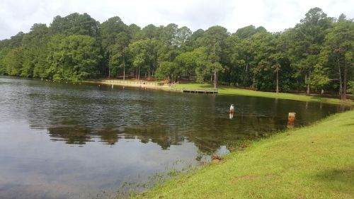 A serene lake surrounded by lush green trees, with a grassy shore and a wooden dock in the background.