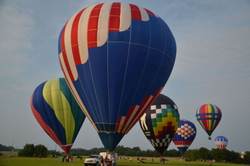 Colorful hot air balloons inflate on a grassy field under a clear sky, ready for flight.