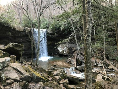 A serene waterfall cascades into a tranquil pool, surrounded by lush trees and rocky terrain in a forested area.