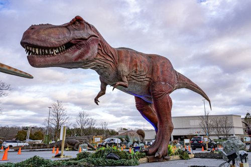 A large, realistic T. rex dinosaur statue stands outdoors, surrounded by trees and vehicles under a cloudy sky.