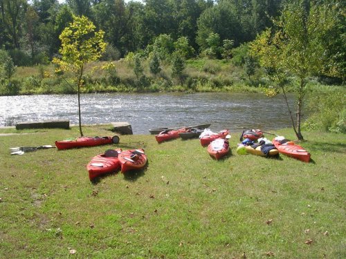 Several red kayaks are lined up on grassy shore near a river, surrounded by trees and greenery.