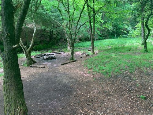 A serene forest clearing with green grass, trees, and a small fire pit surrounded by logs.