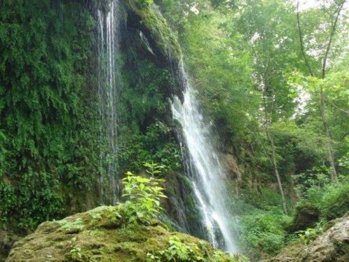 A serene waterfall cascading down a rocky cliff, surrounded by lush green foliage and vibrant plants.