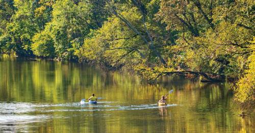 Two kayakers paddle on a calm river surrounded by lush green trees reflecting in the water.