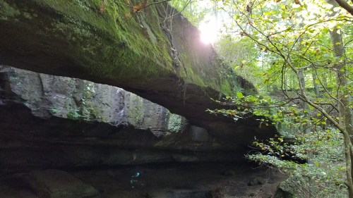 A moss-covered rock formation arches over a forested area, with sunlight filtering through the trees.