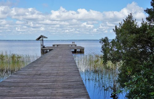 A wooden dock extends into a calm lake, surrounded by tall grasses and under a blue sky with fluffy clouds.