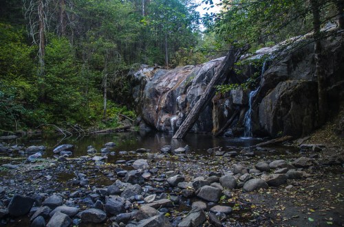 A serene forest scene featuring a small waterfall cascading over rocks into a calm pool, surrounded by lush greenery.