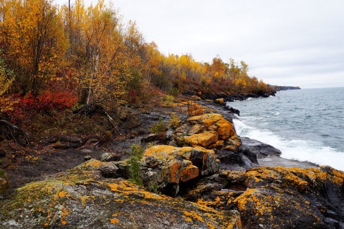 A rocky shoreline with vibrant autumn foliage and waves gently lapping at the shore under a cloudy sky.