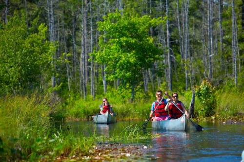 Three people in canoes paddle through a serene, green landscape with trees and water lilies.