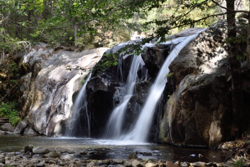 A serene waterfall cascading over rocks into a calm stream, surrounded by lush greenery and trees.