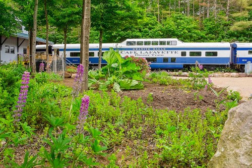 A blue train car near a building, surrounded by green plants and purple flowers in a lush garden setting.