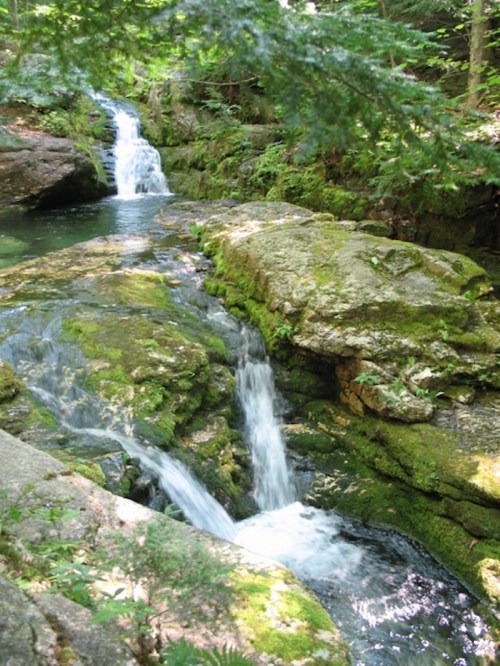 A serene forest scene featuring a cascading waterfall over moss-covered rocks, surrounded by lush greenery.