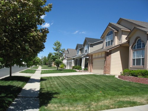 A sunny suburban street lined with well-maintained houses and manicured lawns under a clear blue sky.