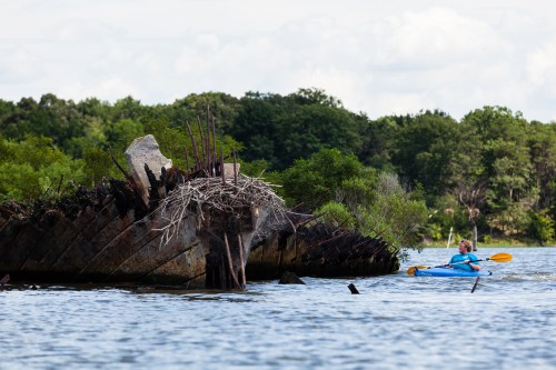 A kayaker paddles near a partially submerged, weathered shipwreck surrounded by lush greenery and calm water.