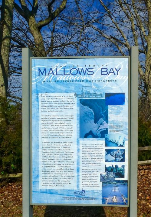 Sign about Mallows Bay, highlighting wildlife refuge and WWII shipwrecks, surrounded by trees.