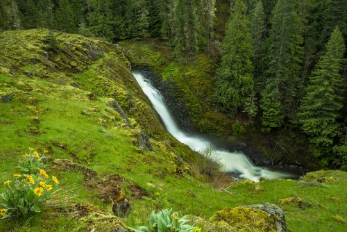 A serene waterfall cascades down a rocky slope, surrounded by lush green grass and vibrant wildflowers.