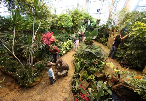 A lush indoor garden with people exploring, interacting, and tending to various plants and flowers.