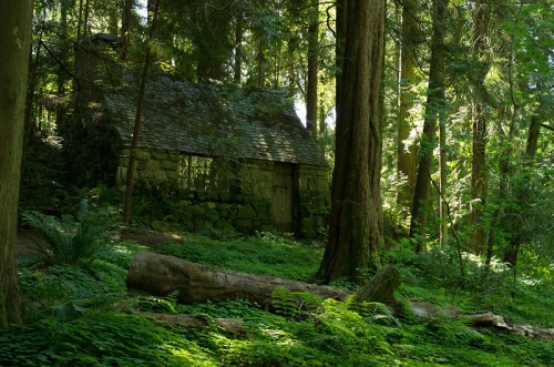 A small stone cabin nestled in a lush green forest, surrounded by tall trees and ferns. Sunlight filters through the leaves.
