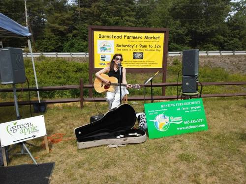 A musician performs with a guitar at the Barnstead Farmers Market, surrounded by banners and equipment.