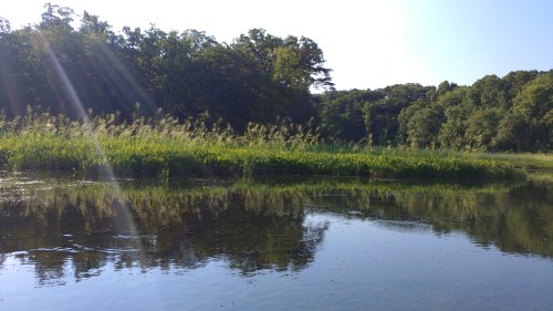 A serene river scene with lush green grass and trees reflecting in the calm water under a clear blue sky.