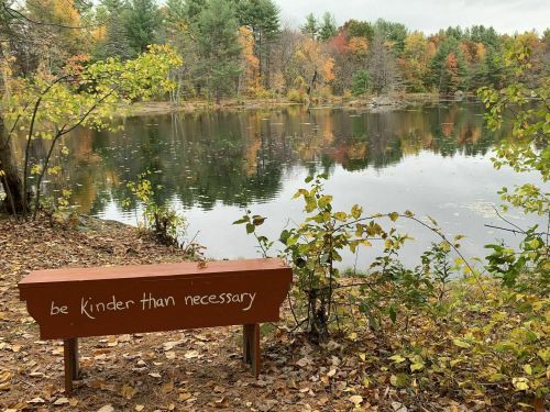 A wooden bench by a calm lake, surrounded by autumn foliage, with the words "be kinder than necessary" inscribed on it.