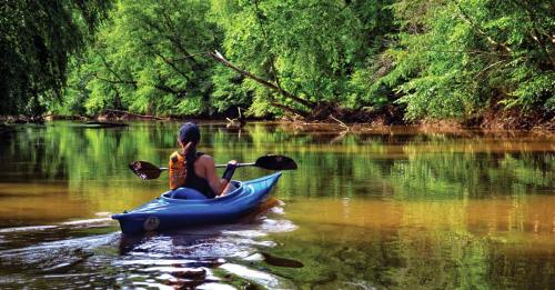 A person kayaking on a calm river surrounded by lush green trees and reflections in the water.