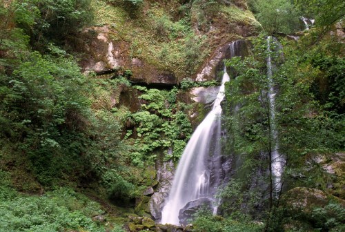 A serene waterfall cascading down rocky cliffs, surrounded by lush green foliage and vibrant plants.