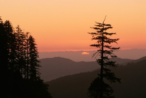 Silhouetted trees against a vibrant sunset, with mountains in the background and a warm orange sky.