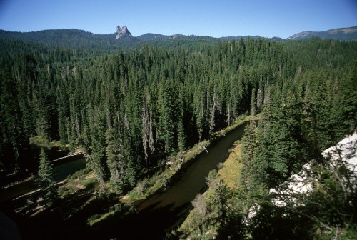 A scenic view of a river winding through a dense forest, with mountains in the background under a clear blue sky.