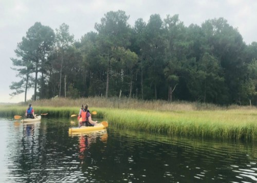 Two people kayaking on a calm waterway, surrounded by tall grass and trees in the background.