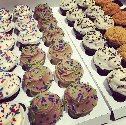 A display of colorful cupcakes with various frosting and sprinkles, arranged in neat rows.