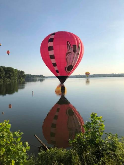 A vibrant pink hot air balloon with a horse design reflects on calm water, surrounded by greenery and a clear sky.