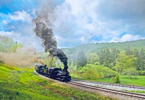 A vintage steam train chugs along a green hillside, billowing black smoke against a backdrop of trees and cloudy skies.