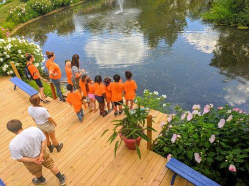 A group of children in orange shirts stands by a pond, observing the water and surrounding flowers on a sunny day.