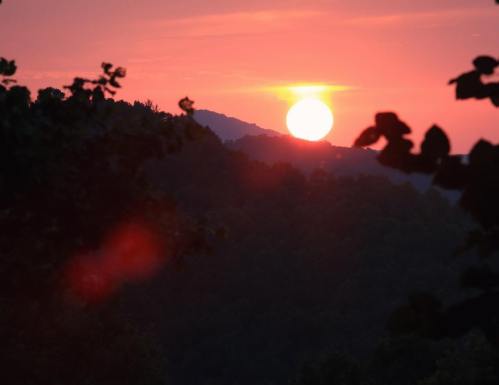 A vibrant sunset over mountains, with a large sun casting warm hues against the sky and silhouetted leaves in the foreground.