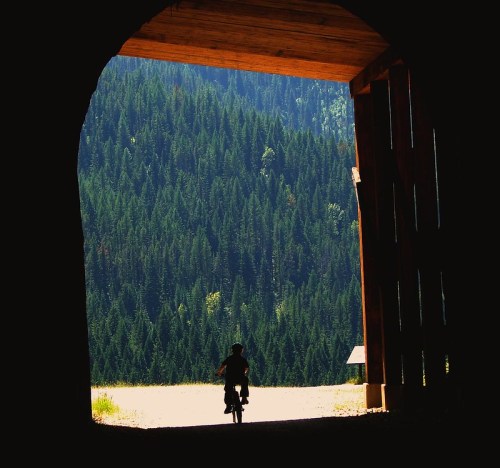 A silhouette of a cyclist riding through a tunnel, framed by lush green trees in the background.