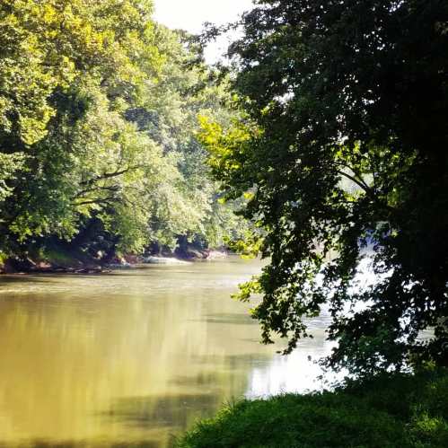 A serene river scene surrounded by lush green trees and sunlight reflecting on the water's surface.
