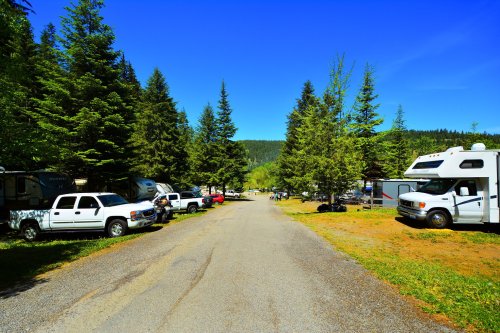 A scenic RV park with parked vehicles and tall trees lining a gravel road under a clear blue sky.