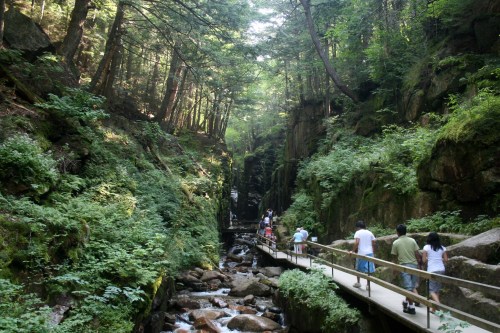 A scenic forest path with people walking along a wooden boardwalk beside a rocky stream in a lush, green canyon.