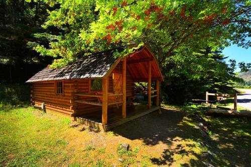 A rustic wooden cabin surrounded by lush green trees and grass, with a porch and clear blue sky above.