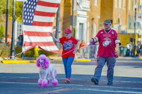 A woman in a red shirt waves a small American flag while walking a pink poodle alongside a man in a red jersey.