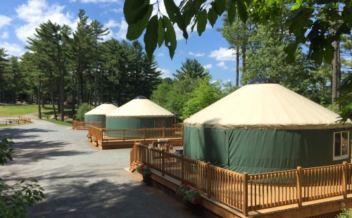 Three green yurts with tan roofs sit on a gravel path, surrounded by trees and blue skies.