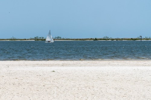 A sailboat glides across a calm blue waterway, with a sandy beach in the foreground and greenery in the distance.