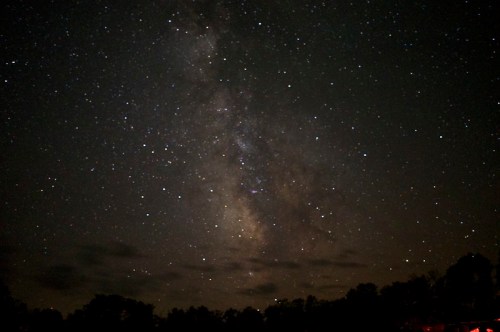 A starry night sky filled with countless stars and the Milky Way, with silhouettes of trees at the bottom.