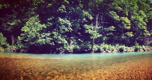A serene river flows through a lush green forest, with clear water revealing a rocky bottom.