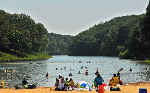 People swimming and relaxing by a sandy beach at a lake, surrounded by lush green trees and hills.
