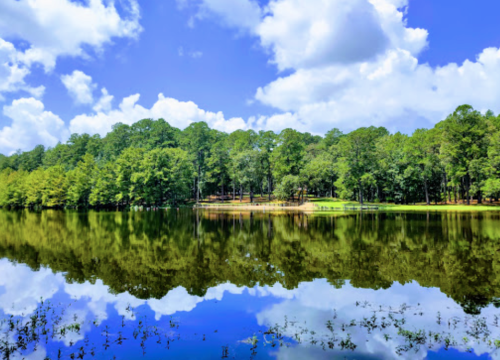 A serene lake surrounded by lush green trees, reflecting a blue sky with fluffy white clouds.