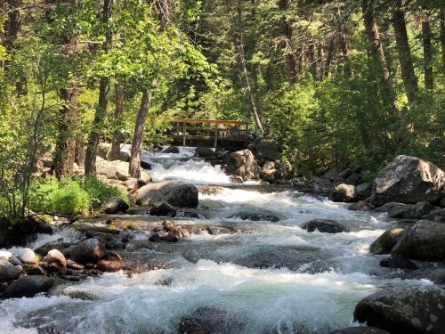 A flowing river with rocks and greenery, featuring a wooden bridge in the background surrounded by trees.