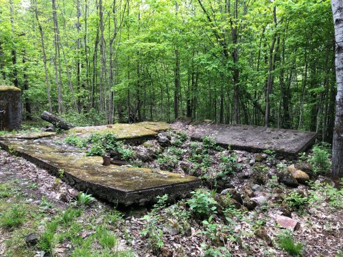 Abandoned concrete slabs covered in moss, surrounded by lush green trees and underbrush in a forested area.